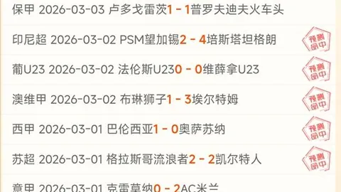 波鸿队角球攻入球门