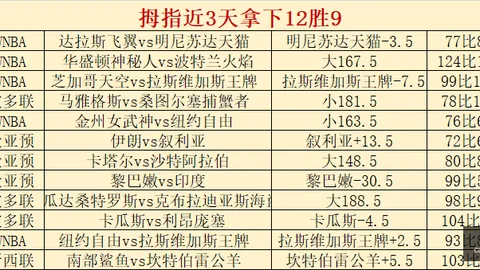 彩神网 055623 5